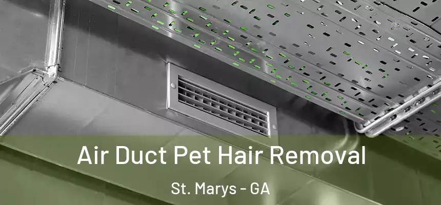  Air Duct Pet Hair Removal St. Marys - GA