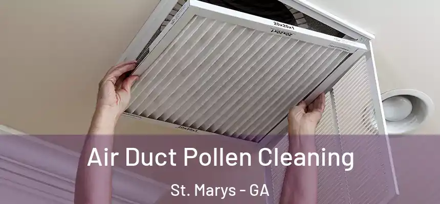  Air Duct Pollen Cleaning St. Marys - GA