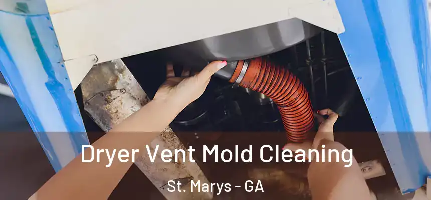  Dryer Vent Mold Cleaning St. Marys - GA