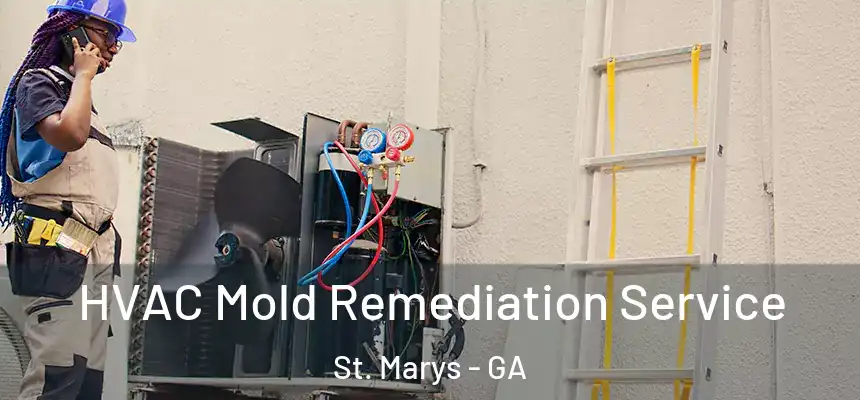  HVAC Mold Remediation Service St. Marys - GA