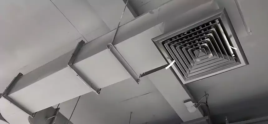 Restorative Allergy Relief Vent Cleaning – Coil, Blower & Housing Detail in St. Marys