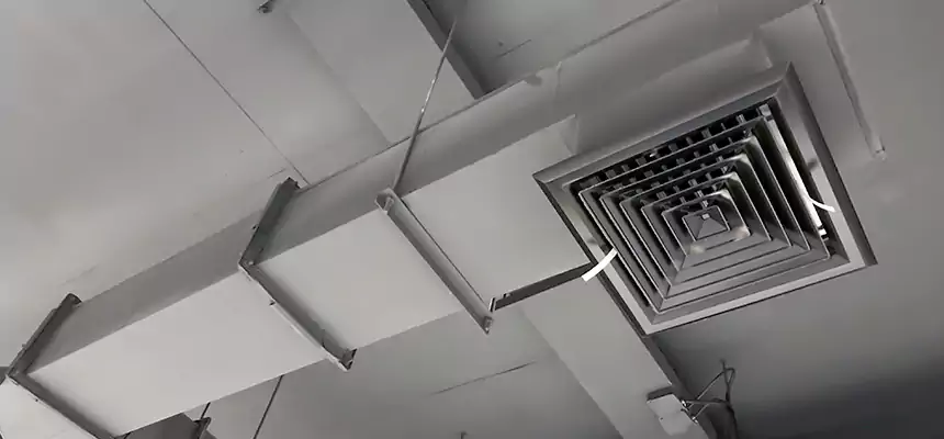 Our Rodent Droppings In Vents Services in St. Marys, GA