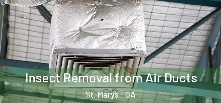  Insect Removal from Air Ducts St. Marys - GA