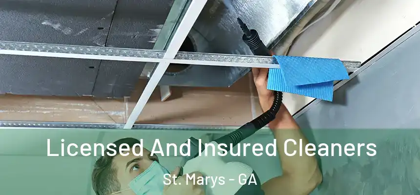  Licensed And Insured Cleaners St. Marys - GA