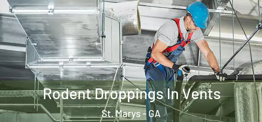  Rodent Droppings In Vents St. Marys - GA