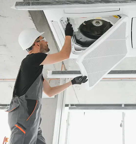 About Air Duct Rodent Removal in St. Marys, GA