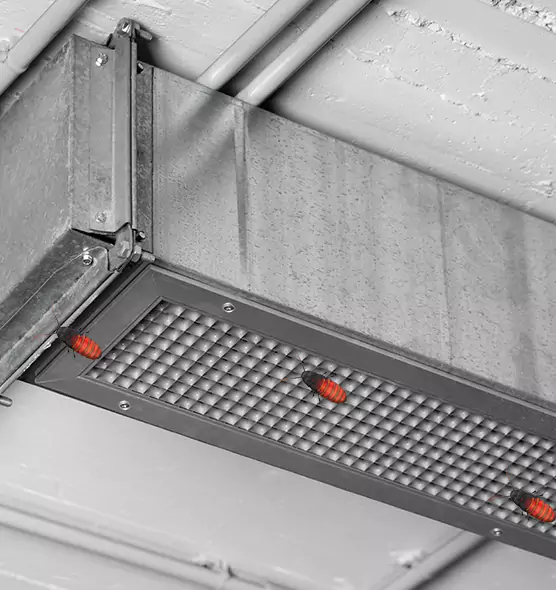 Affordable Insect Removal from Air Ducts in St. Marys, GA