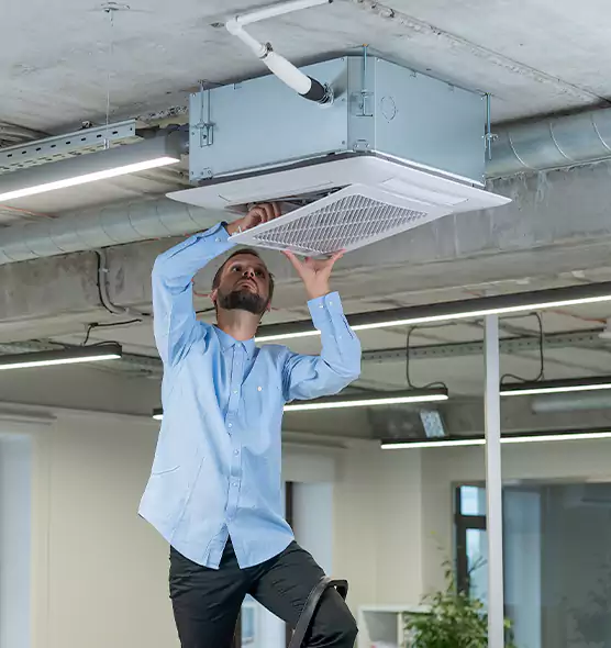 Advanced Rodent Droppings In Vents in St. Marys, GA