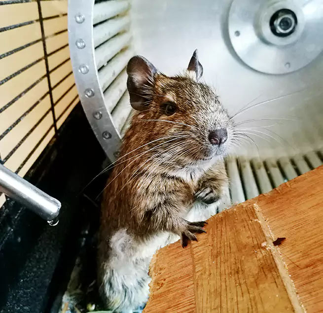 Why Homeowners & Businesses Trust Us St. Marys, GA?