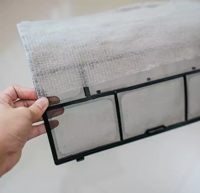 Why Homeowners & Businesses Trust Us in St. Marys, GA?